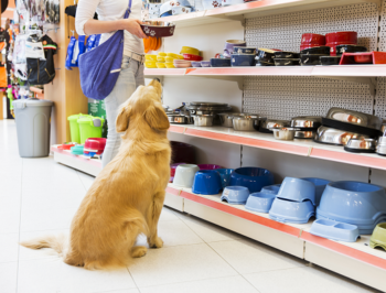 Pet Supplies Spend Less to Get More Ferguson Animal Hospital